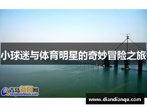 小球迷与体育明星的奇妙冒险之旅